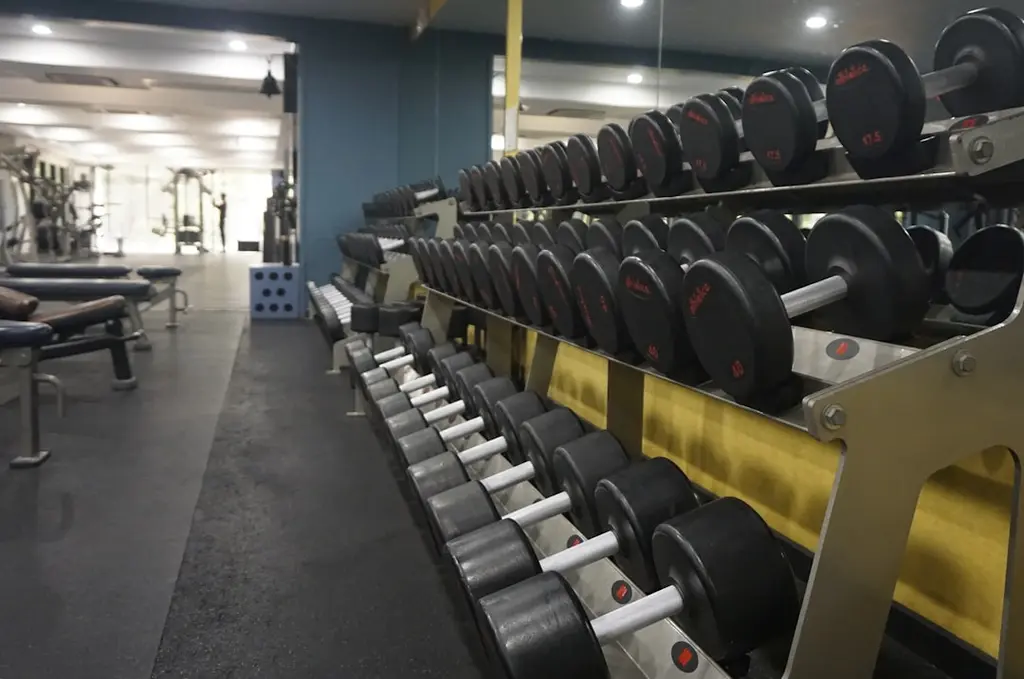 Guía práctica para comenzar en el gimnasio